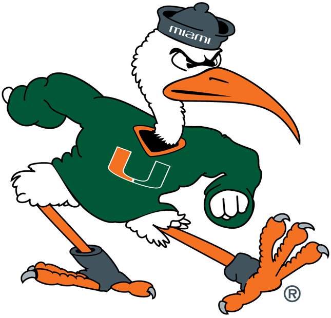 Miami Hurricanes 1983-1999 Alternate Logo DIY iron on transfer (heat transfer)